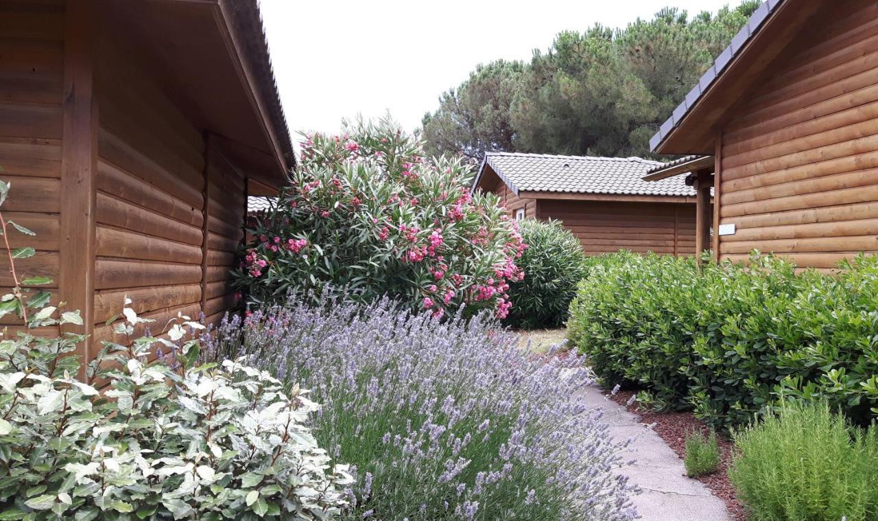 Parc Residentiel Les Hauts De Baldy Agde Bagian luar foto
